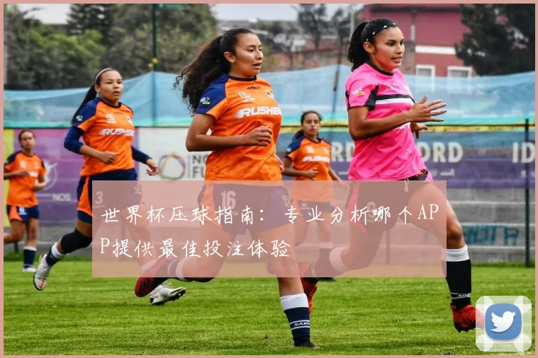 世界杯压球指南：专业分析哪个APP提供最佳投注体验
