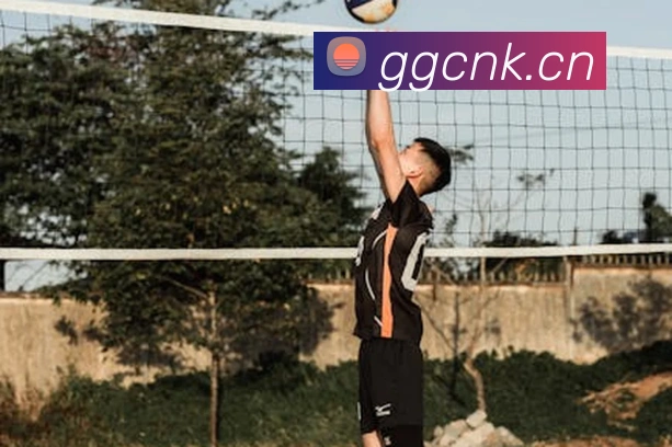 星空电竞官网入口平台生态图